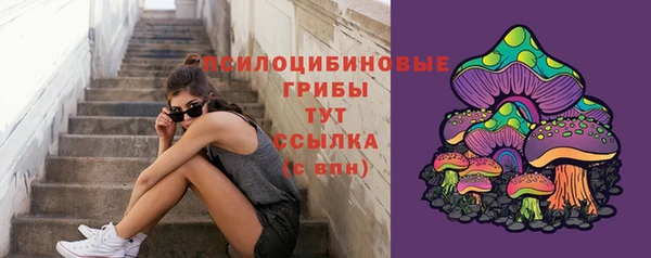 экстази Дмитровск